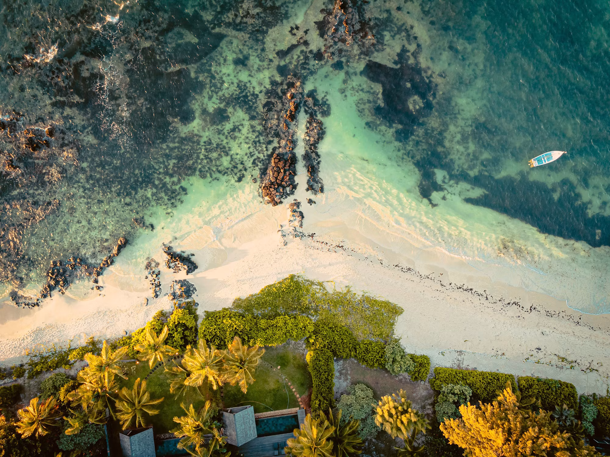 Exploring the Unique Ecosystems of the World’s Coastal Regions